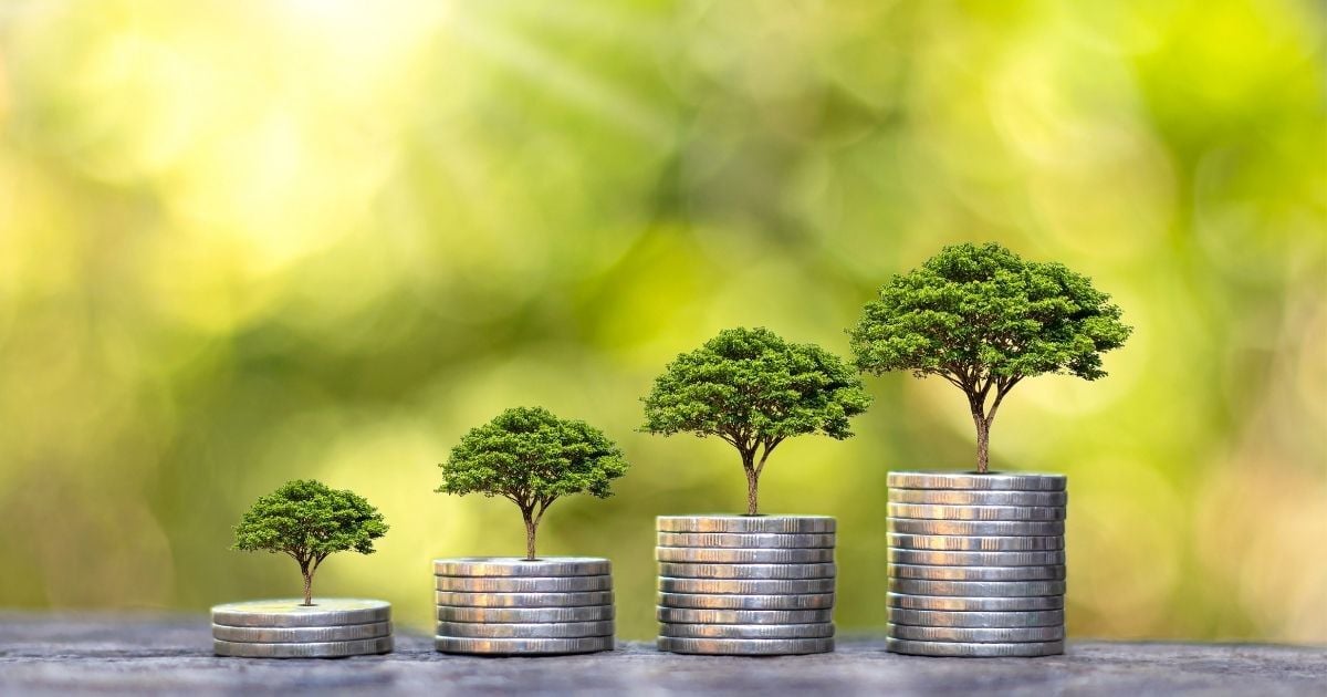 Small Trees on stacks of coins representing the savings you can achieve with energy efficiency 
