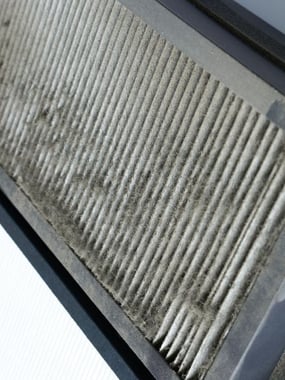 Dirty HVAC air filter that needs preventative maintenance to be cleaned